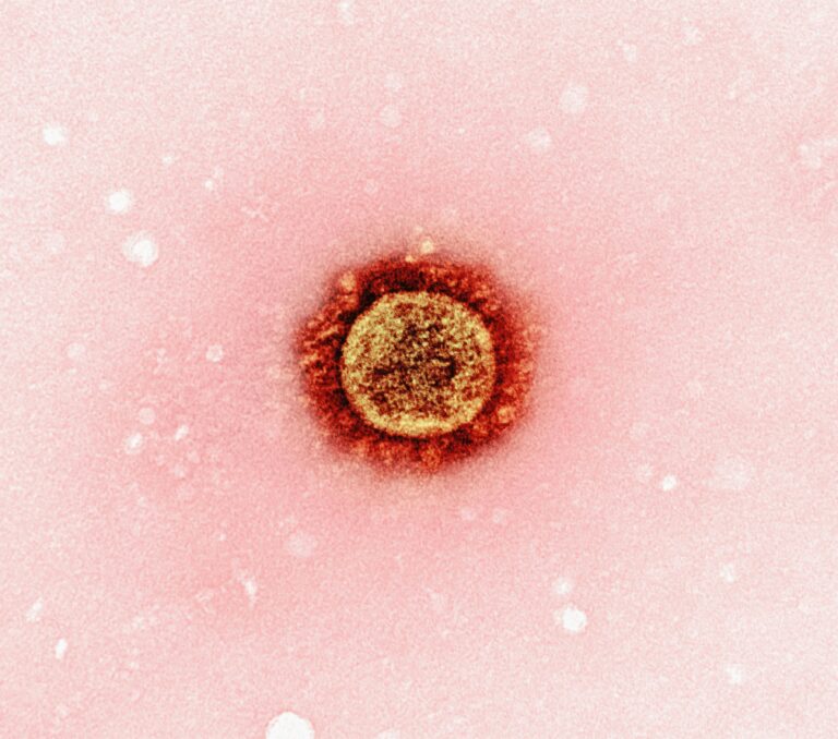 مقدمة في الامراض الجلدية و الالتهابات الفيروسية